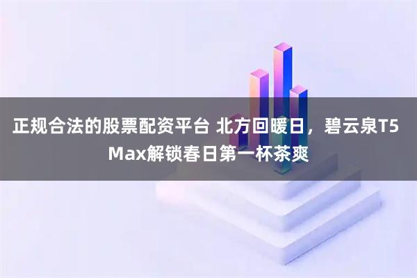 正规合法的股票配资平台 北方回暖日,碧云泉T5 Max解锁春日第一杯茶爽