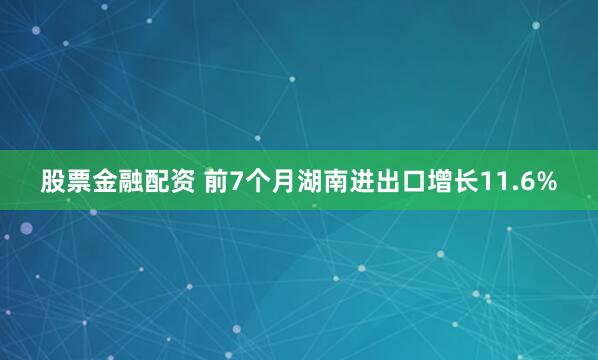 股票金融配资 前7个月湖南进出口增长11.6%